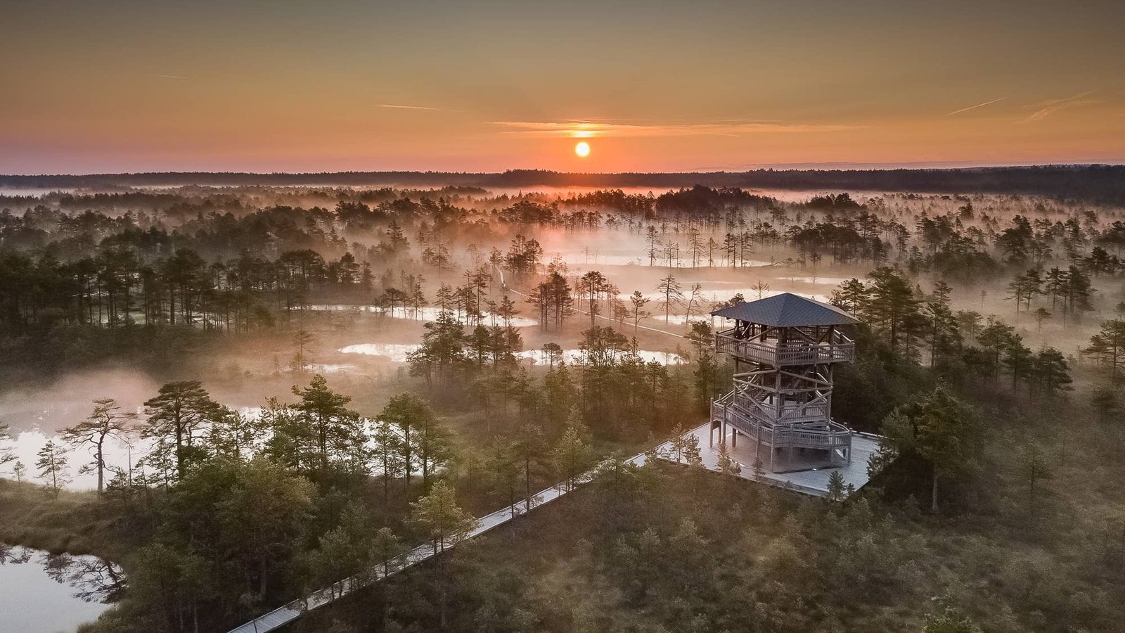 top 10 Parimat kohta Eestis pildistamiseks 15.jpg top 10 Parimat kohta Eestis pildistamiseks 6.jpg top 10 Parimat kohta Eestis pildistamiseks 7.jpg top 10 Parimat kohta Eestis pildistamiseks 8.jpg top 10 Parimat kohta Eestis pildistamiseks 9.jpg top 10 Parimat kohta Eestis pildistamiseks 10.jpg top 10 Parimat kohta Eestis pildistamiseks 11.jpg top 10 Parimat kohta Eestis pildistamiseks 12.jpg top 10 Parimat kohta Eestis pildistamiseks 13.jpg top 10 Parimat kohta Eestis pildistamiseks