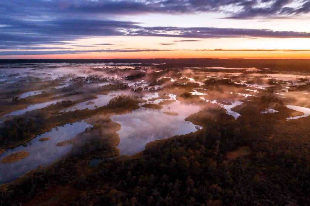 top 10 Parimat kohta Eestis pildistamiseks 15.jpg top 10 Parimat kohta Eestis pildistamiseks 6.jpg top 10 Parimat kohta Eestis pildistamiseks 7.jpg top 10 Parimat kohta Eestis pildistamiseks 8.jpg top 10 Parimat kohta Eestis pildistamiseks 9.jpg top 10 Parimat kohta Eestis pildistamiseks 10.jpg top 10 Parimat kohta Eestis pildistamiseks 11.jpg top 10 Parimat kohta Eestis pildistamiseks 12.jpg top 10 Parimat kohta Eestis pildistamiseks 13.jpg top 10 Parimat kohta Eestis pildistamiseks