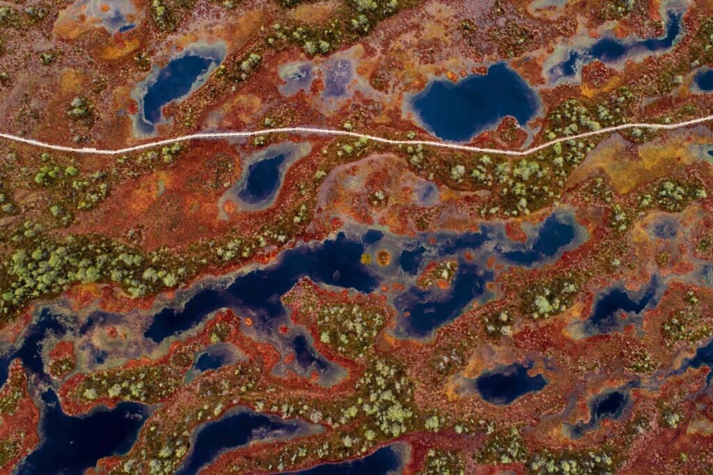 top 10 Parimat kohta Eestis pildistamiseks 15.jpg top 10 Parimat kohta Eestis pildistamiseks 6.jpg top 10 Parimat kohta Eestis pildistamiseks 7.jpg top 10 Parimat kohta Eestis pildistamiseks 8.jpg top 10 Parimat kohta Eestis pildistamiseks 9.jpg top 10 Parimat kohta Eestis pildistamiseks 10.jpg top 10 Parimat kohta Eestis pildistamiseks 11.jpg top 10 Parimat kohta Eestis pildistamiseks 12.jpg top 10 Parimat kohta Eestis pildistamiseks 13.jpg top 10 Parimat kohta Eestis pildistamiseks