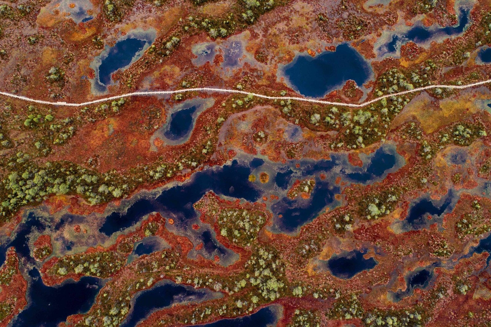 top 10 Parimat kohta Eestis pildistamiseks 15.jpg top 10 Parimat kohta Eestis pildistamiseks 6.jpg top 10 Parimat kohta Eestis pildistamiseks 7.jpg top 10 Parimat kohta Eestis pildistamiseks 8.jpg top 10 Parimat kohta Eestis pildistamiseks 9.jpg top 10 Parimat kohta Eestis pildistamiseks 10.jpg top 10 Parimat kohta Eestis pildistamiseks 11.jpg top 10 Parimat kohta Eestis pildistamiseks 12.jpg top 10 Parimat kohta Eestis pildistamiseks 13.jpg top 10 Parimat kohta Eestis pildistamiseks