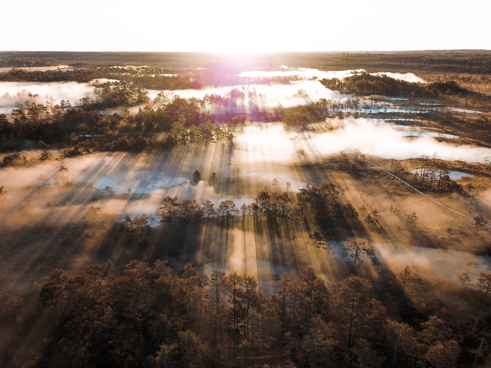 top 10 Parimat kohta Eestis pildistamiseks 15.jpg top 10 Parimat kohta Eestis pildistamiseks 6.jpg top 10 Parimat kohta Eestis pildistamiseks 7.jpg top 10 Parimat kohta Eestis pildistamiseks 8.jpg top 10 Parimat kohta Eestis pildistamiseks 9.jpg top 10 Parimat kohta Eestis pildistamiseks 10.jpg top 10 Parimat kohta Eestis pildistamiseks 11.jpg top 10 Parimat kohta Eestis pildistamiseks 12.jpg top 10 Parimat kohta Eestis pildistamiseks 13.jpg top 10 Parimat kohta Eestis pildistamiseks