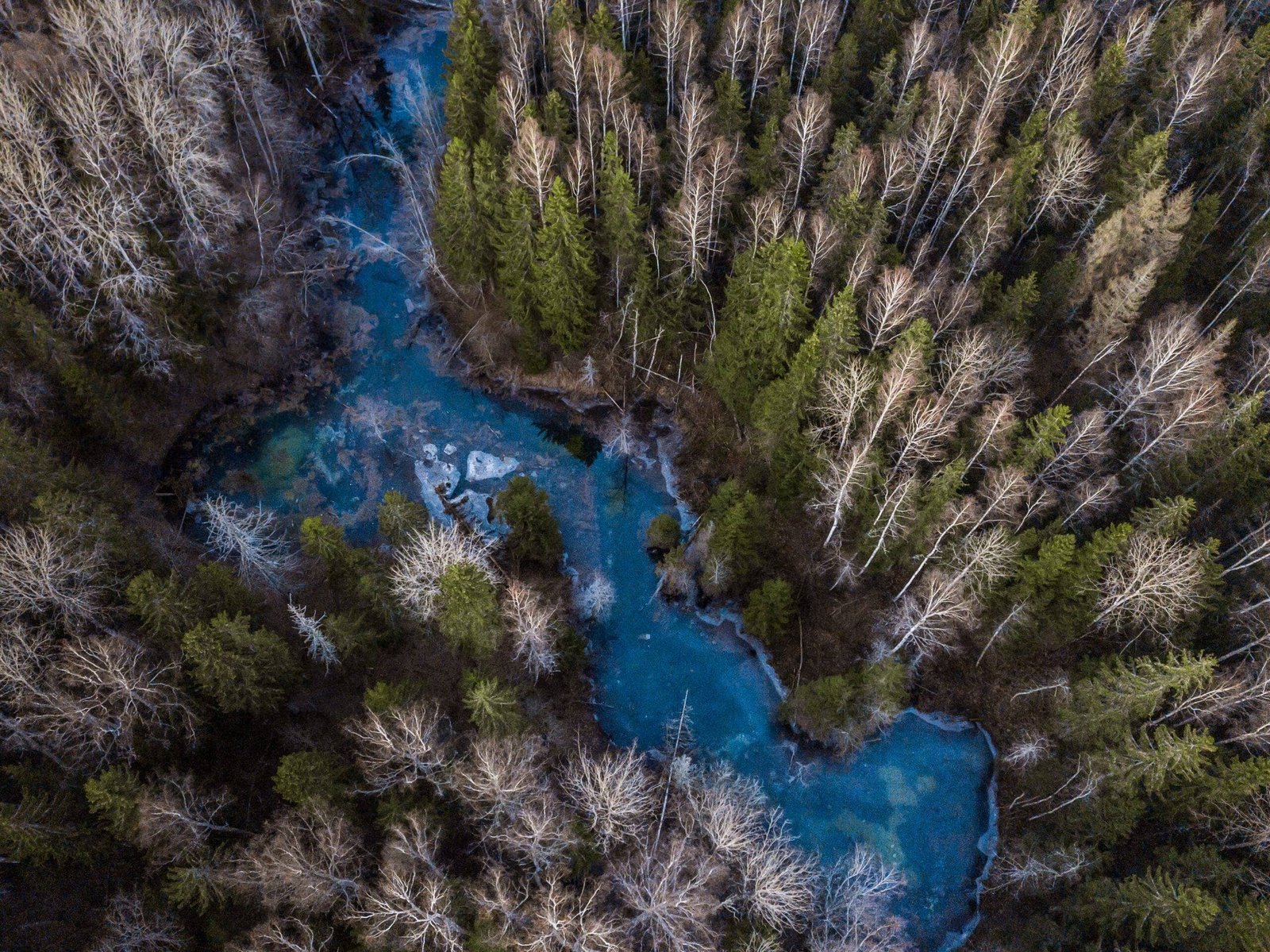 top 10 Parimat kohta Eestis pildistamiseks 15.jpg top 10 Parimat kohta Eestis pildistamiseks 6.jpg top 10 Parimat kohta Eestis pildistamiseks 7.jpg top 10 Parimat kohta Eestis pildistamiseks 8.jpg top 10 Parimat kohta Eestis pildistamiseks 9.jpg top 10 Parimat kohta Eestis pildistamiseks 10.jpg top 10 Parimat kohta Eestis pildistamiseks 11.jpg top 10 Parimat kohta Eestis pildistamiseks 12.jpg top 10 Parimat kohta Eestis pildistamiseks 13.jpg top 10 Parimat kohta Eestis pildistamiseks